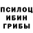 Галлюциногенные грибы мухоморы eugen eide