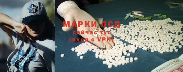 гидра Беслан